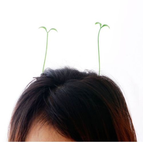 sprout headband