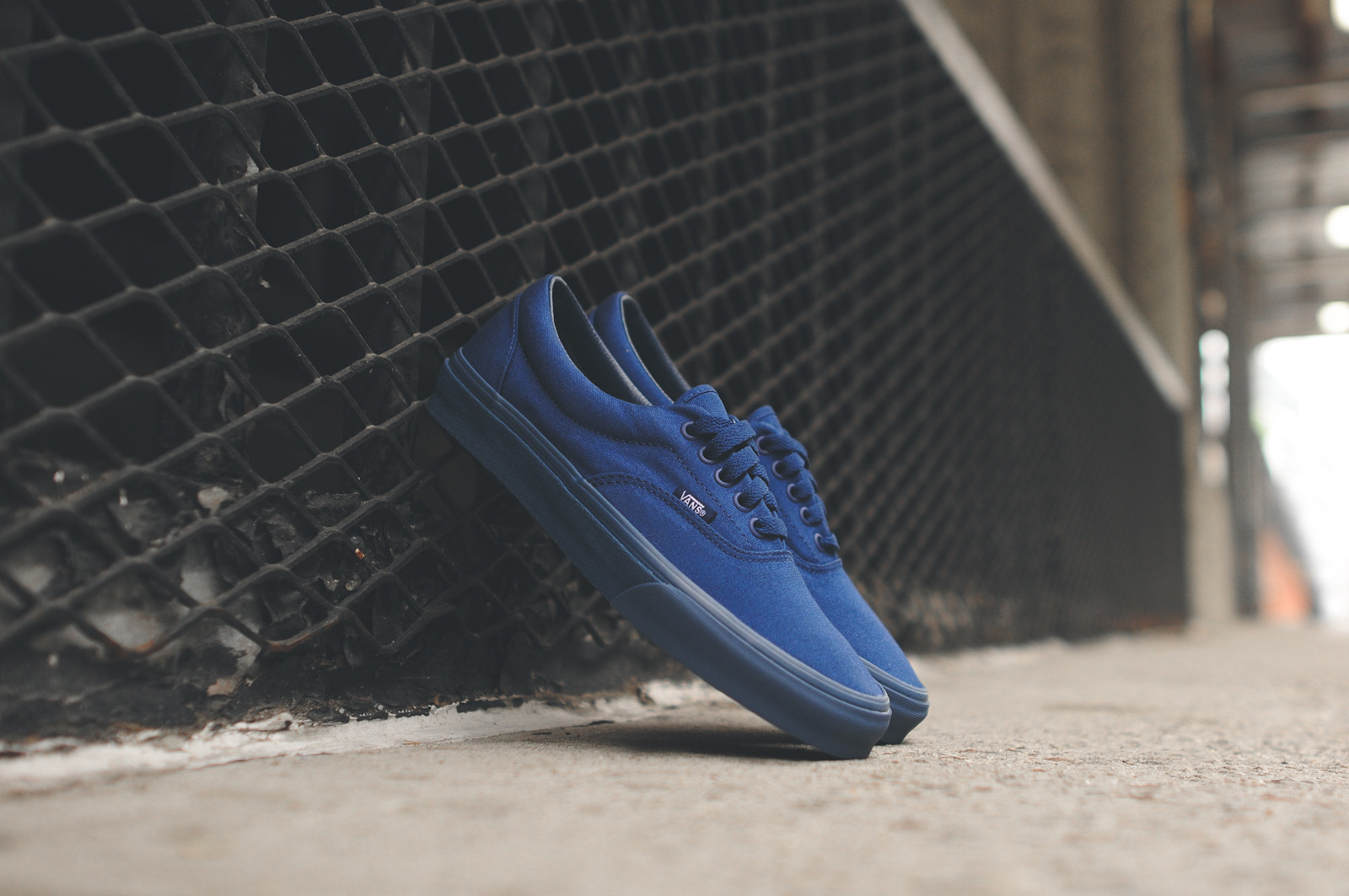 royal blue and gold vans