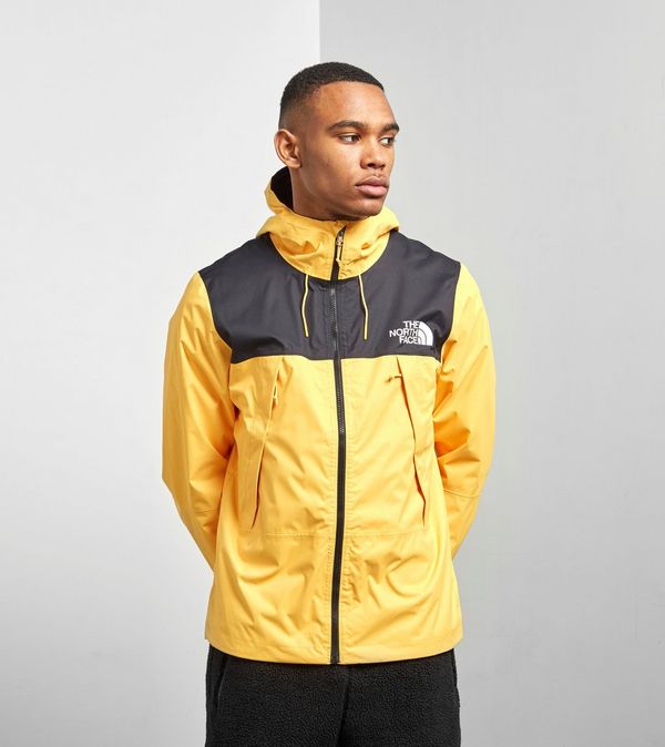 the north face 1990 q mountain jacket