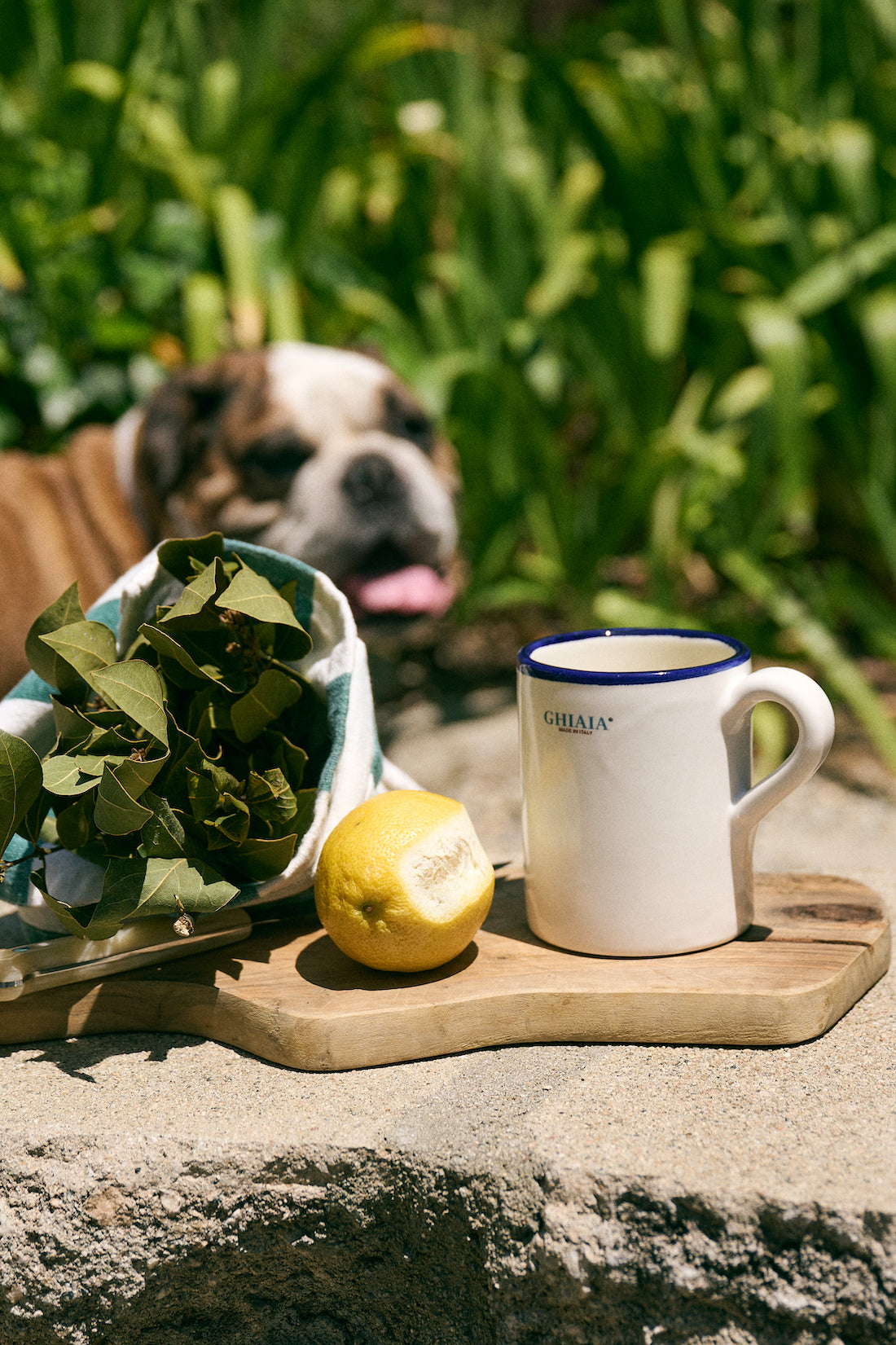 Very Goods | World Wide Aura Blanket by BFGF at Couverture & the