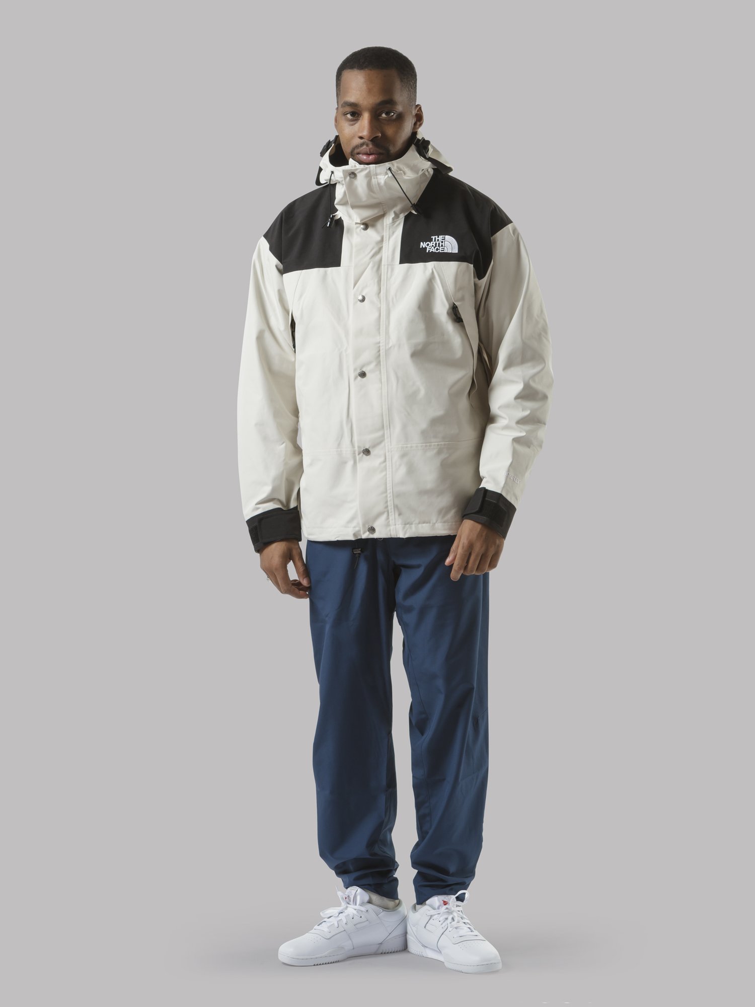 the north face mountain jacket white