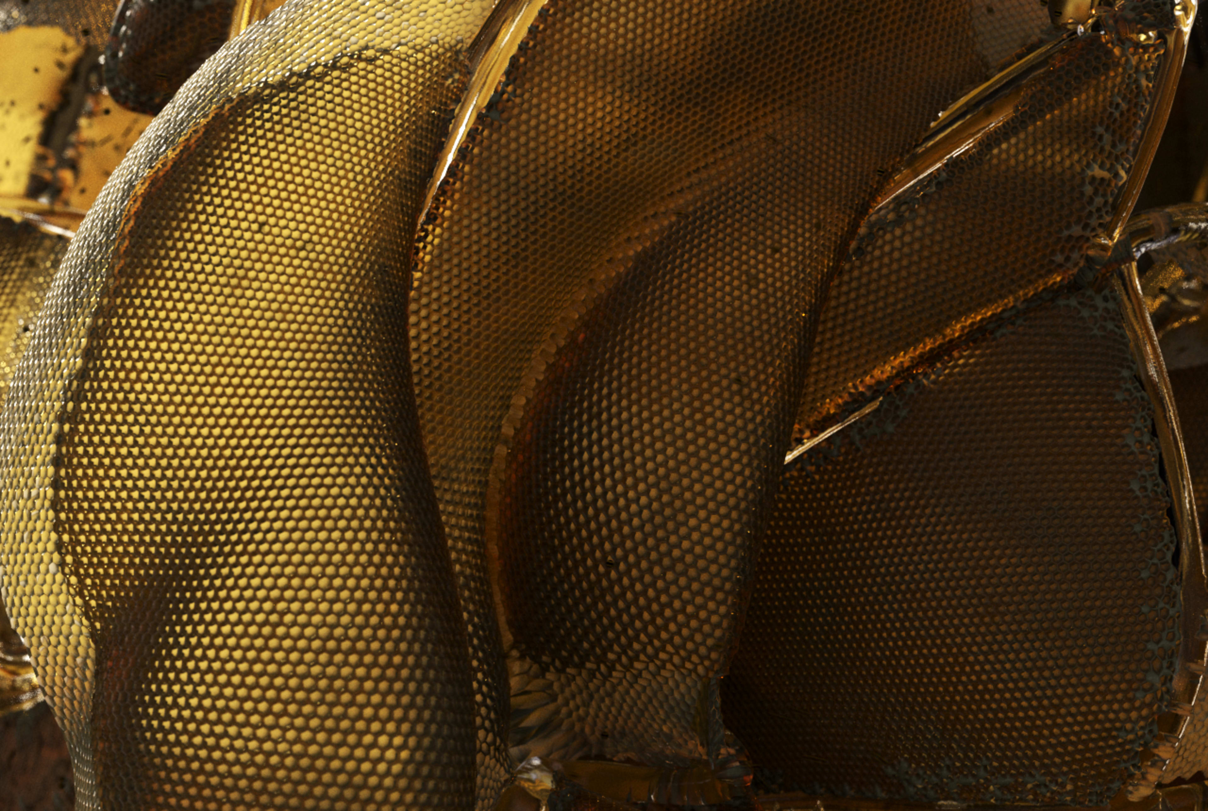 Regenerative by Design