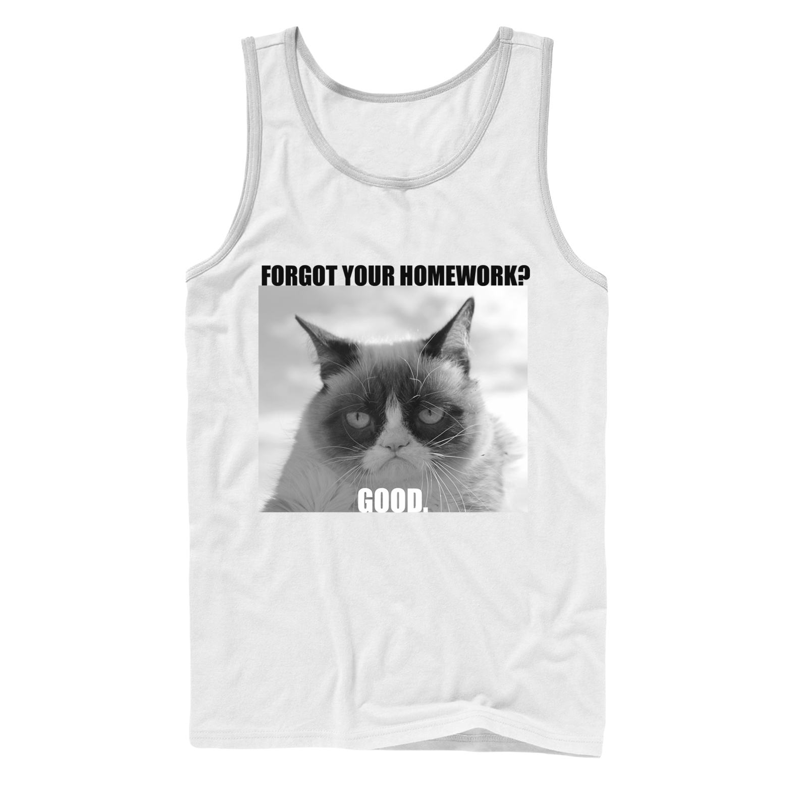 Grumpy cat homework picture