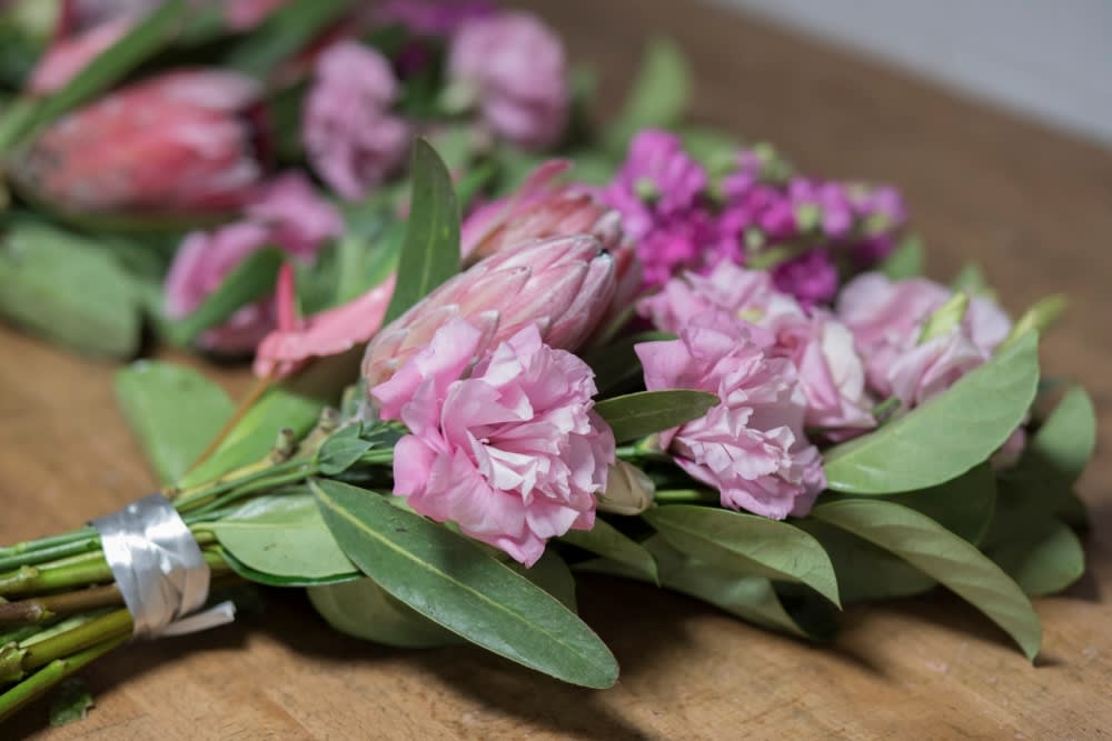 pale pink lisianthus