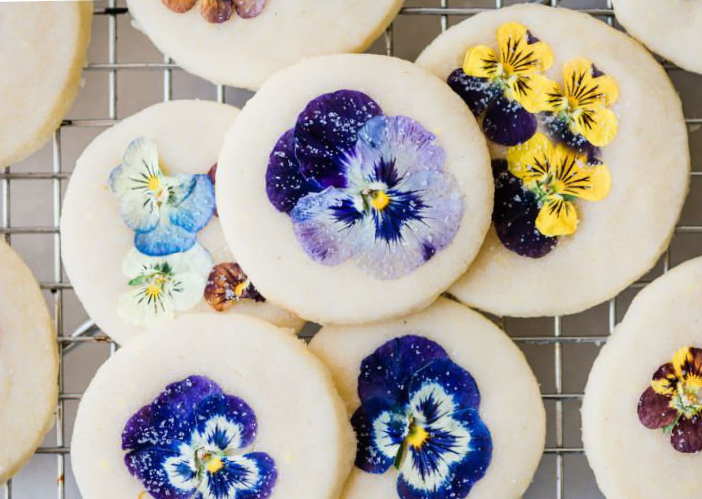 Edible Flowers