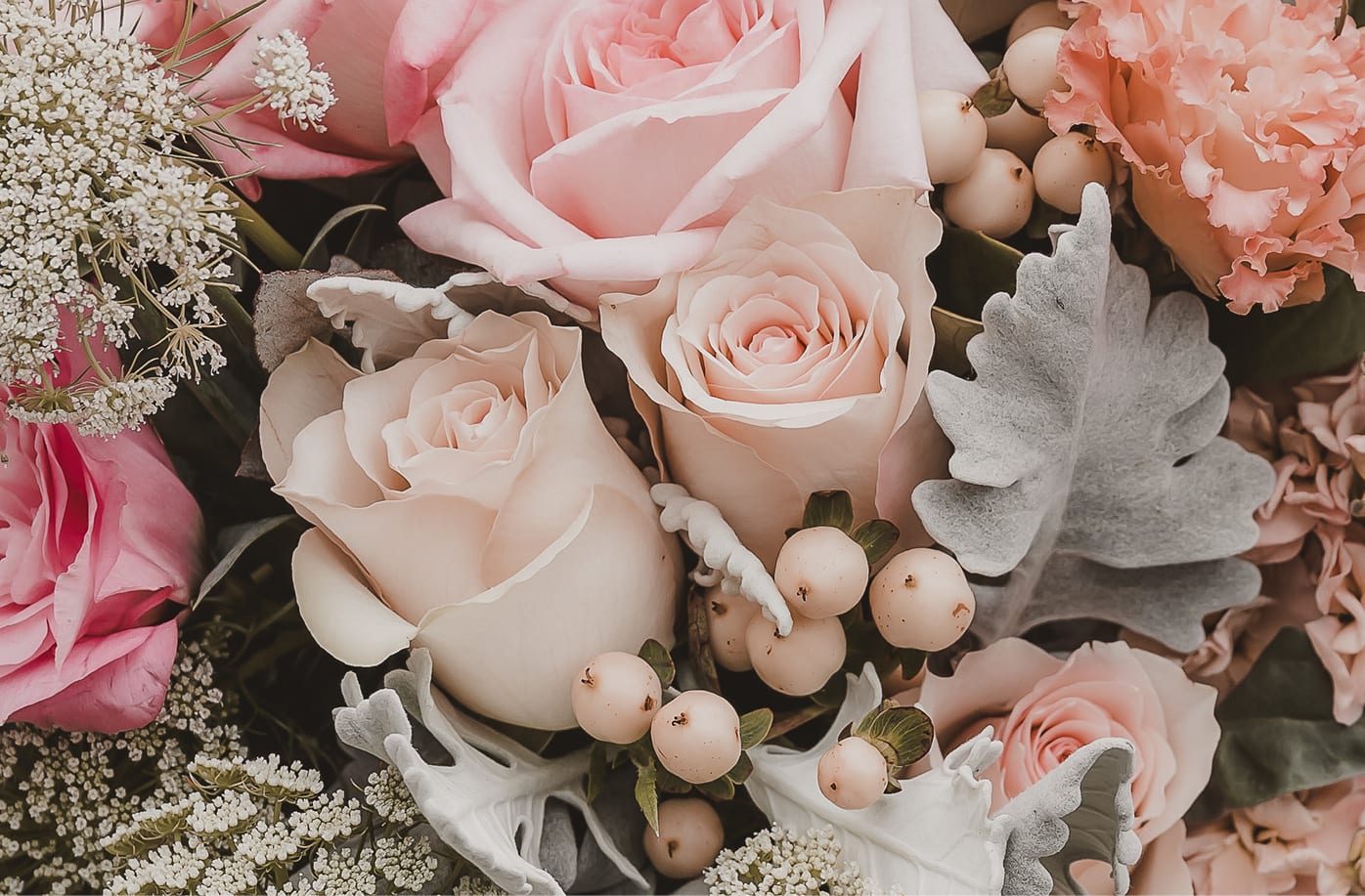 Your Comprehensive Guide to Roses