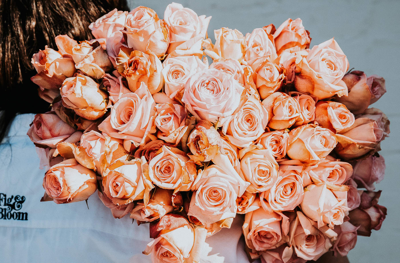 Your Comprehensive Guide to Roses