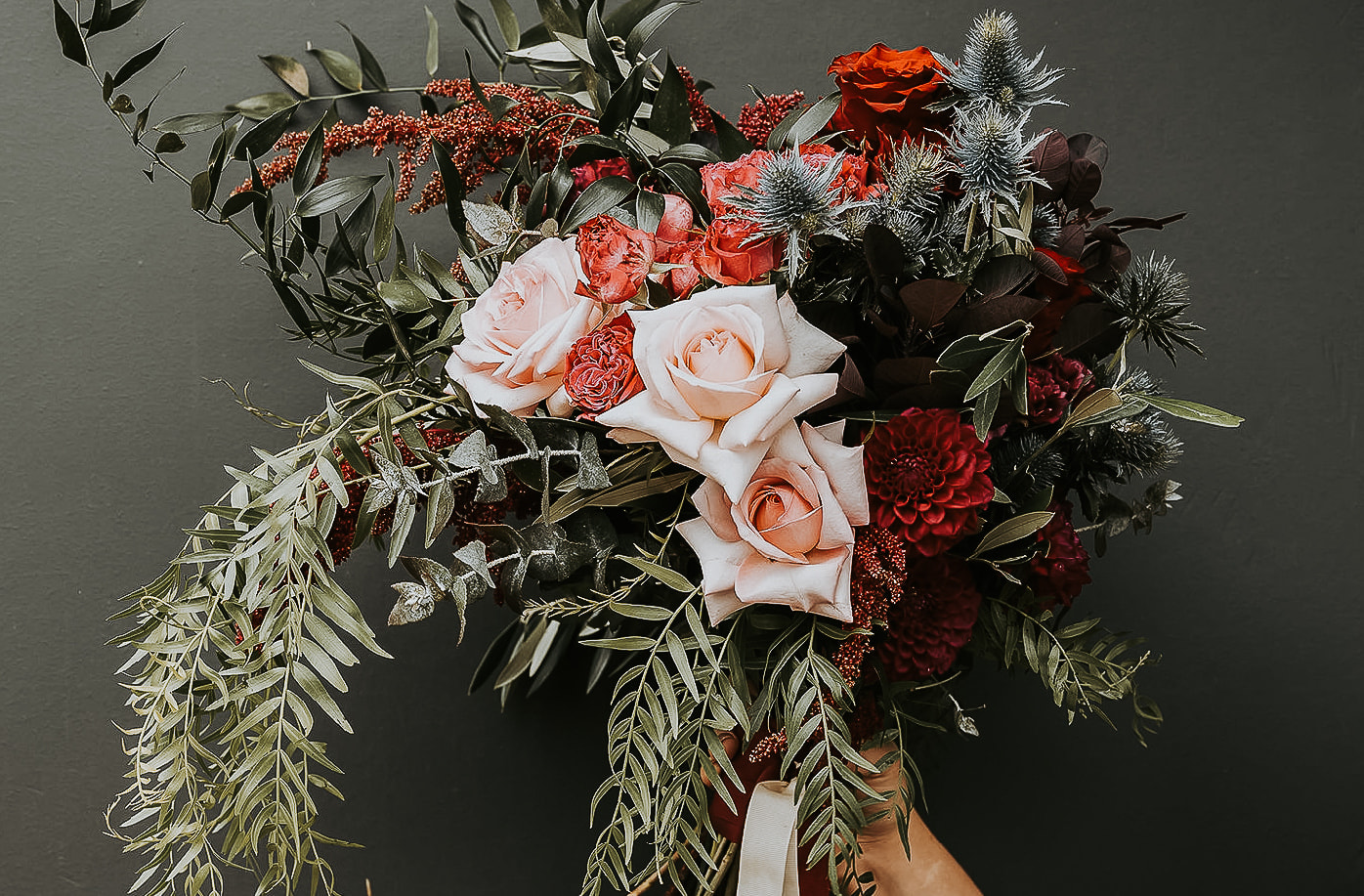 Your Comprehensive Guide to Roses
