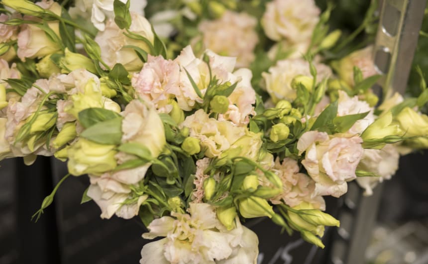 Fig & Bloom Flowers, Plants & Gifts Same Day Flower Delivery