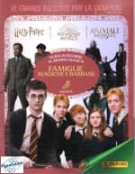 Harry Potter famiglie magiche e babbane