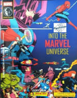 Into the Marvel Universe