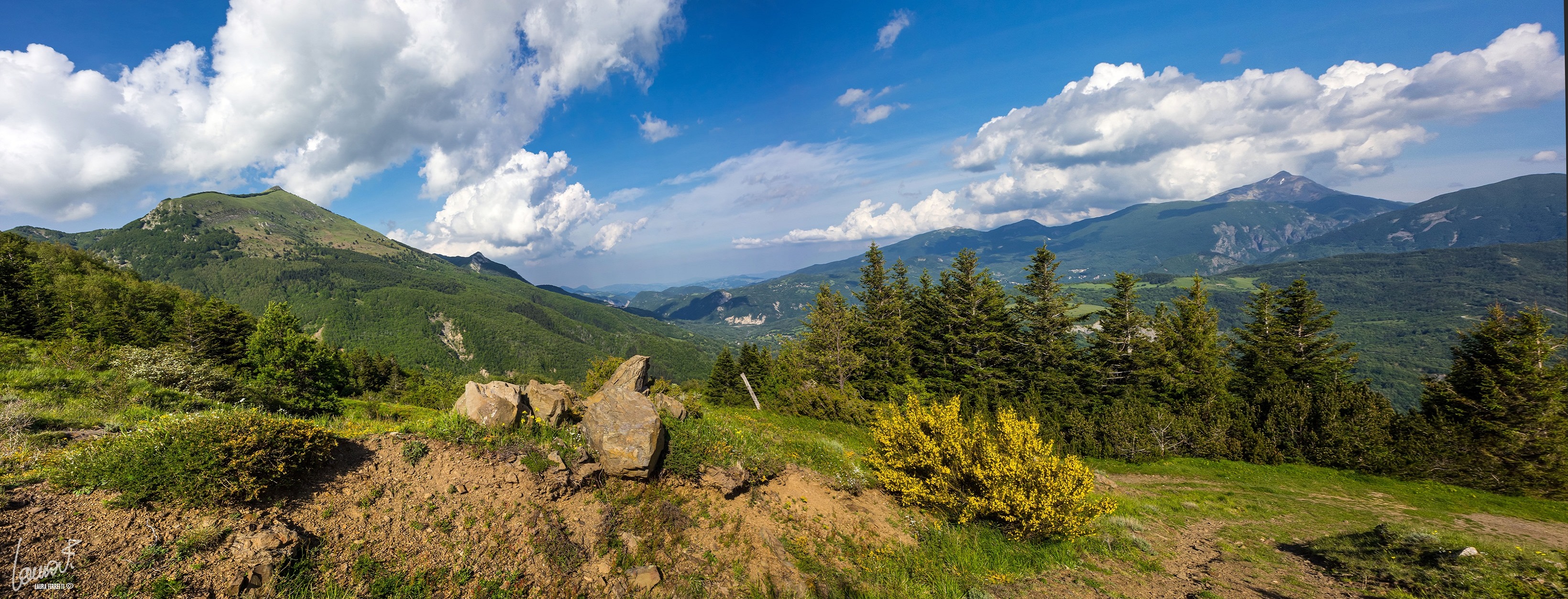 Panorama da monte Guardia