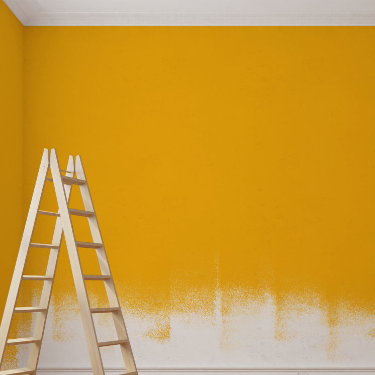 Boya Badana Ne Zaman ve Hangi Sıklıkta Yapılır?