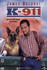 K-911