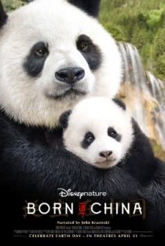 Filmposter van de film Born in China