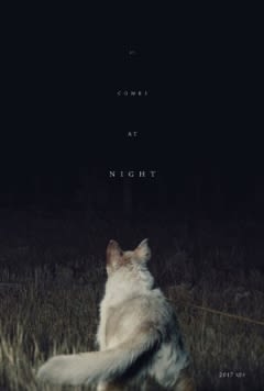 Filmposter van de film It Comes at Night