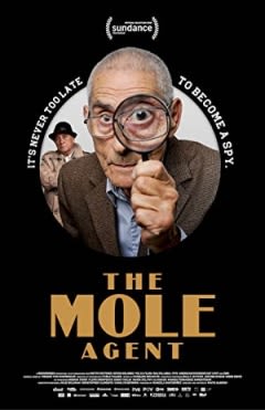 Filmposter van de film The Mole Agent