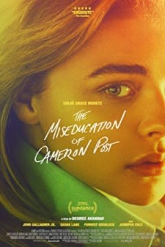 Filmposter van de film The Miseducation of Cameron Post