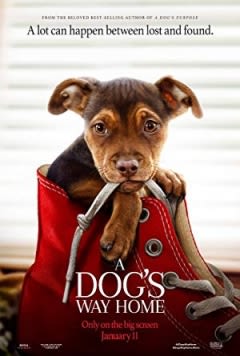 Filmposter van de film A Dog's Way Home