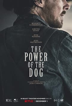 Filmposter van de film The Power of the Dog