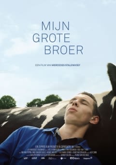 Filmposter van de film Mijn grote broer
