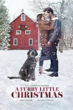 Filmposter van de film A Furry Little Christmas (2021)