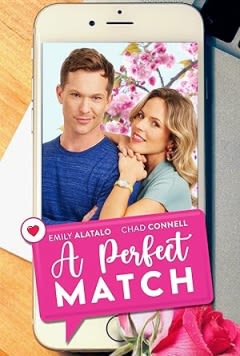 Filmposter van de film A Perfect Match
