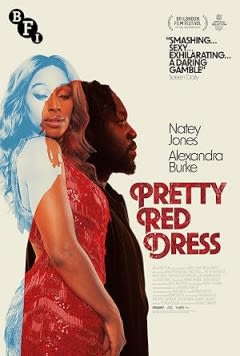 Filmposter van de film Pretty Red Dress
