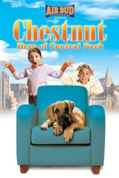 Filmposter van de film Chestnut: Hero of Central Park