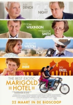 Filmposter van de film The Best Exotic Marigold Hotel