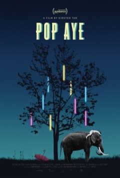 Filmposter van de film Pop Aye