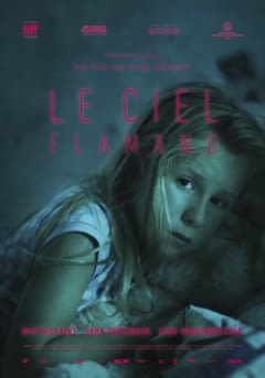 Filmposter van de film Le Ciel Flamand