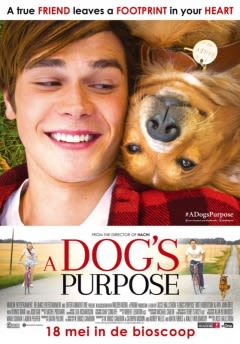 A Dog's Purpose