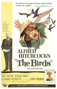 Filmposter van de film The Birds