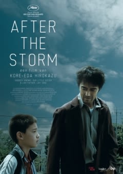 Filmposter van de film After the Storm