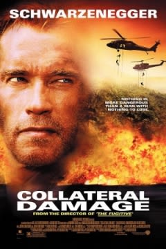 Filmposter van de film Collateral Damage