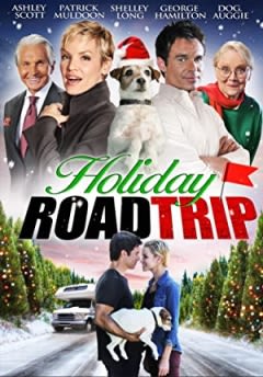 Filmposter van de film Holiday Road Trip