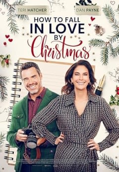 Filmposter van de film How to Fall in Love by Christmas