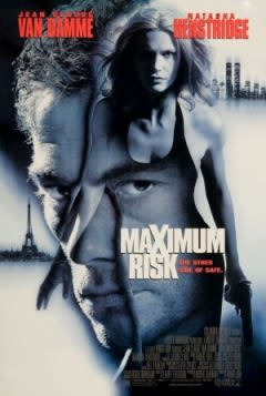 Filmposter van de film Maximum Risk