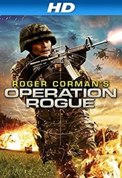 Filmposter van de film Operation Rogue