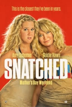 Filmposter van de film Snatched