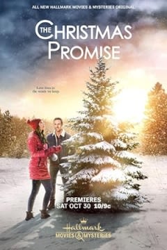 Filmposter van de film The Christmas Promise (2021)