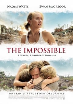 Filmposter van de film The imposible