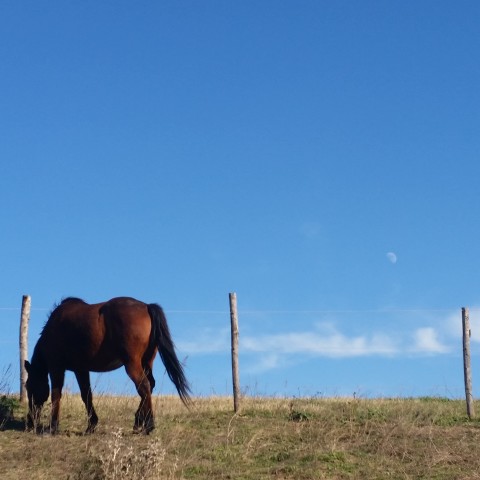 Respicĕre (Not just for the International Women’s day)