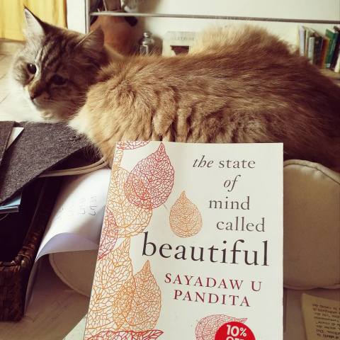 The State of Mind called Beautiful