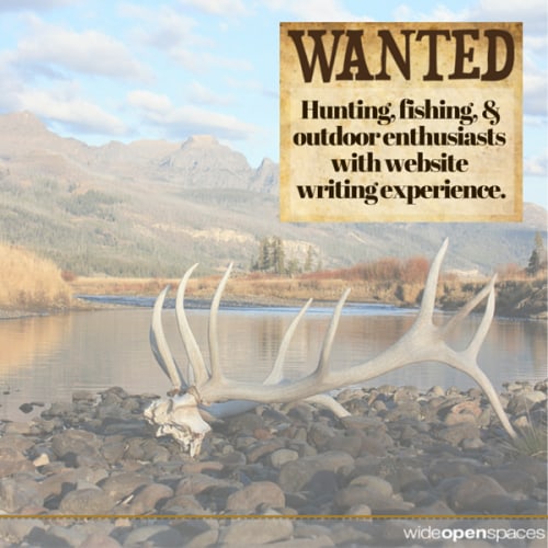We're hiring paid hunting, fishing and shooting writers. Have some experience writing on the outdoors? Have you worked with Wordpress? If so, email us at contributors@wideopenspaces.com and we'll chat.