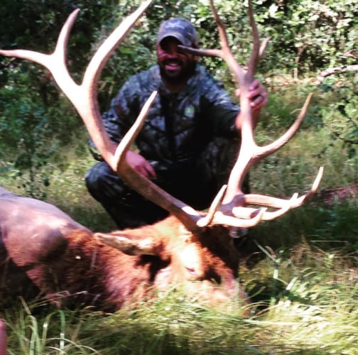 First elk of the season at Brazos River Lodge. Beautiful bull!
#Elk #Hunting #RMEF #BrazosRiverLodge #FinandField

https://finandfield.com/organizations/brazos-river-lodge-chama
