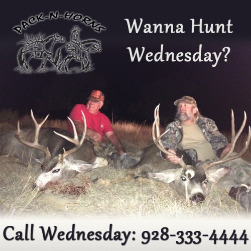 We Have Mule Deer, Antelope (hunts start Aug 26th) & Elk!