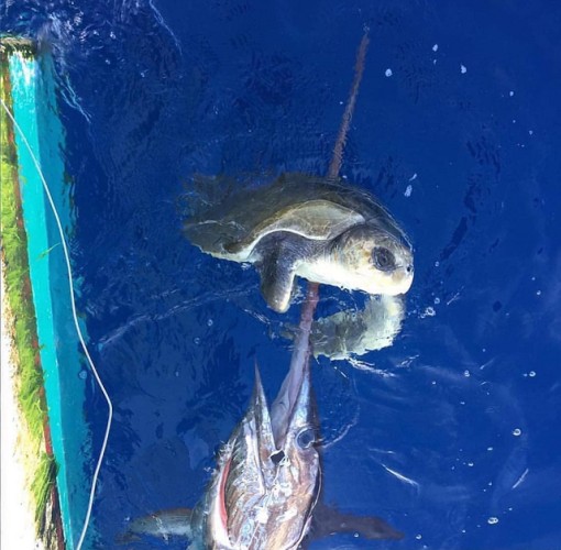 Caption this one! #How #OneinaBillion #MotherNature #FinandField