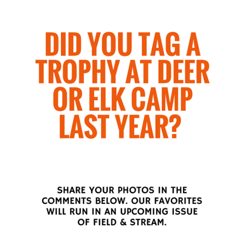 It's time to show off those trophies!